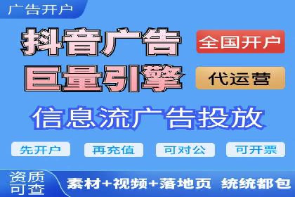 百度竞价推广运营实战技巧与经典案例剖析
